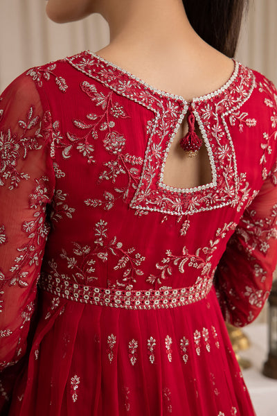 Embroidered Chiffon RTW-1016
