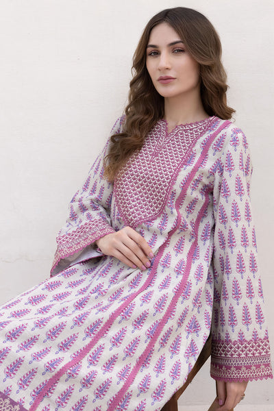 Embroidered Khaddar RTW-1010