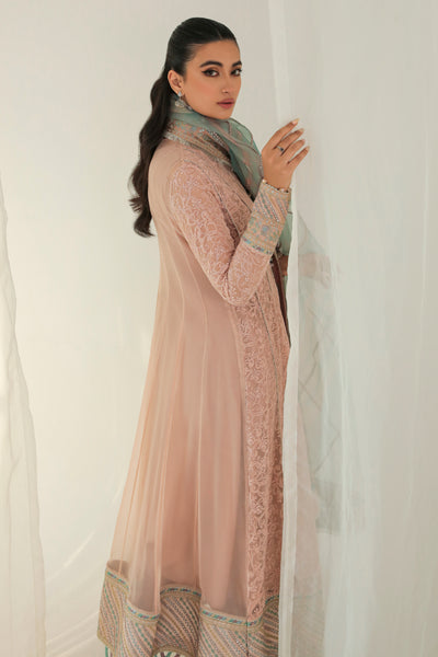 EMBROIDERED CHIFFON UC-3005